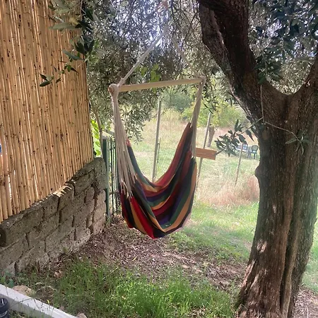 Gasthof Casa Ulivi Lenti 3*